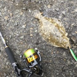 雪の降る中でジグサビキ